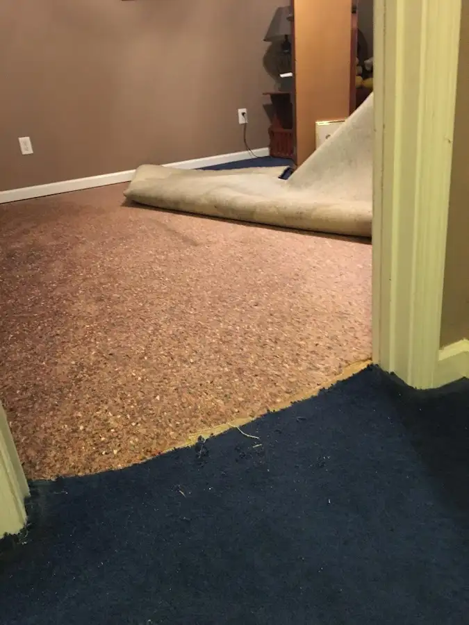 Carpet pad removal revealing water damage during Drying & Dehumidification in Beloit